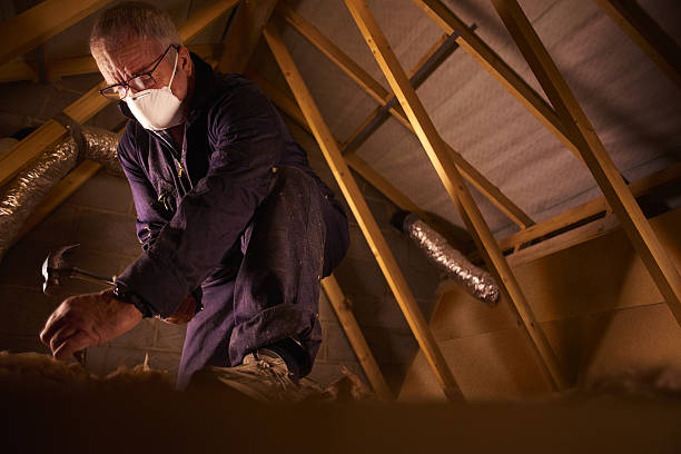 Best Insulation Maintenance and Repair in Mayfield Heights, OH